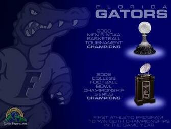 Gator Wallpaper Florida