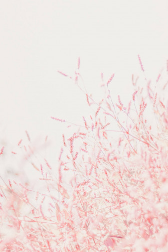 Cute Pastel Wallpaper