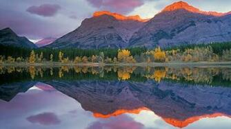 Bing Wallpaper Daily