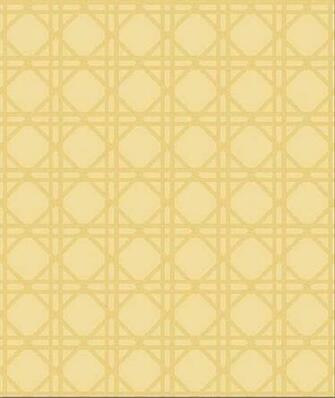 Evolution Totalwallcovering
