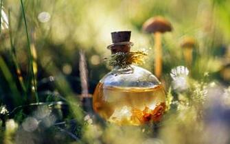 Magic Potion Wallpaper
