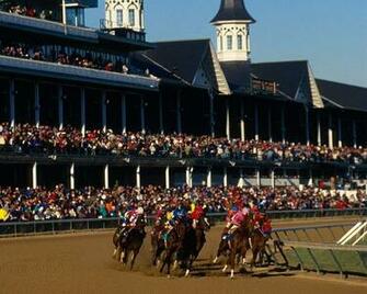 Google Trends Pictures The 136th Annual Kentucky Derby