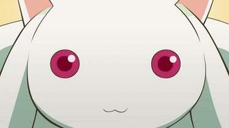 Kyubey Puella Magi Madoka Magica Wallpaper
