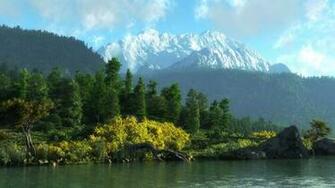 Forest River Natural Scene Pixel Nature HD Wallpaper