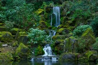 Usa Gardens Stones Portland Japanese Oregon Moss Nature Wallpaper