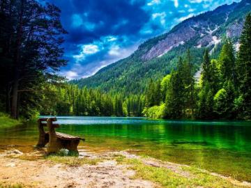Green Forest With A Bench Wallpaper Teahub Io