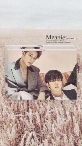 Seventeen Ideas Mingyu Kpop