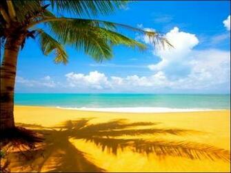 Beautiful Summer Wallpaper