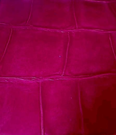 Crocodile Wallpaper Fuschia Pink Surreal Woman Wallcovering