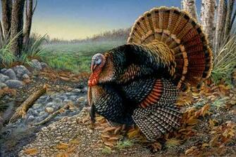 All Things Wildly Considered November