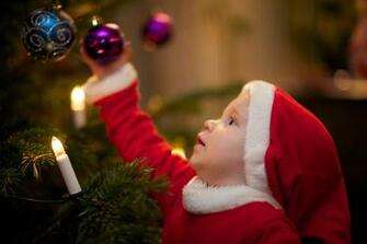 File Decorating The Christmas Tree Jpg