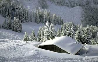 Wallpaper Snow Desktop And Background
