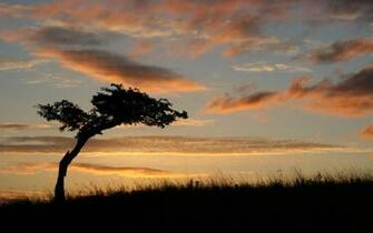 Desktop Wallpaper Background Pc Stock Image Photos