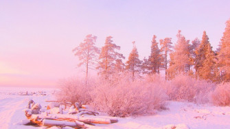 Light Pink Wallpaper HD