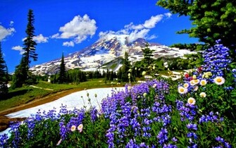 Spring Wallpaper HD For Desktop Web Design Burn