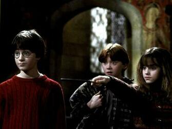 Harry Ron And Hermione Wallpaper
