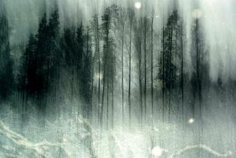 Haunted Forest Wallpaper