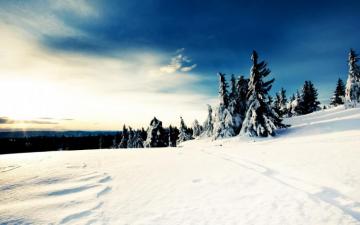 Sunny Winter Day Wallpaper Stock Photos