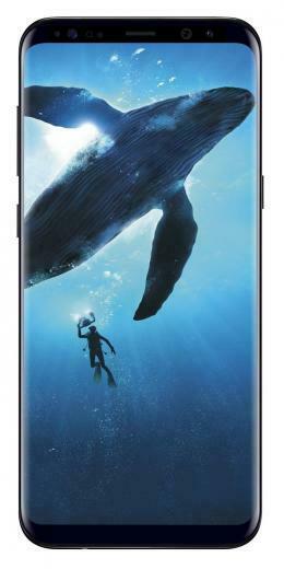 Reggsenterprises Llc On Top Cellular Deals In Whale