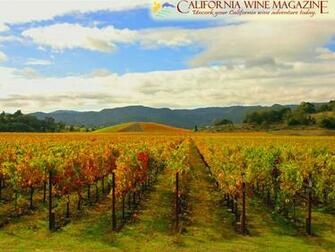 California Wine Magazine Wallpaper