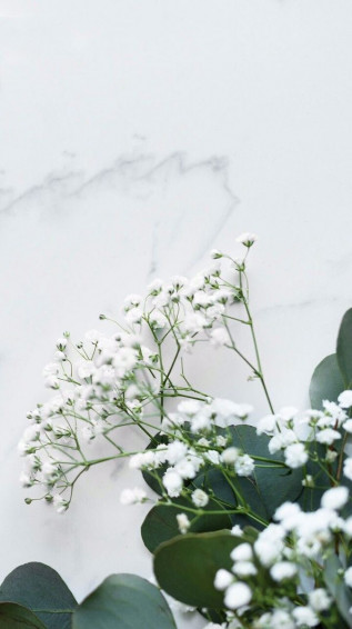 Diftart On Aesthetic Wallpaper