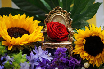 Sunflowers And Roses Wallpaper