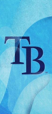 Rays Mobile Wallpaper Tampa Bay