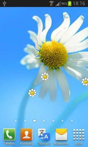 Windows Live Wallpaper Full App For Android