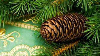 Pine Cone Wallpaper