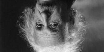 Albert Einstein Smoking Colors O Jpg