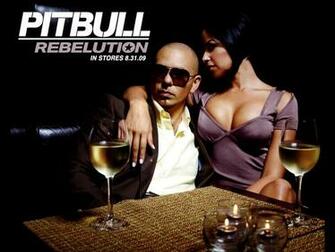 Pitbull Rapper HD Wallpaper