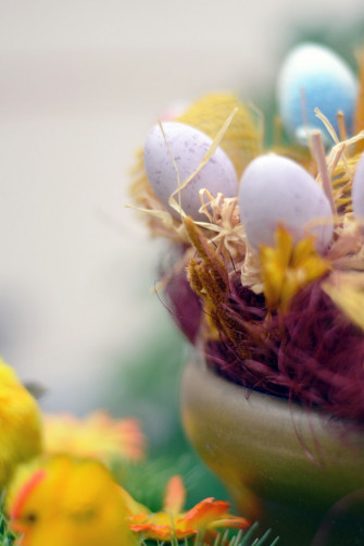 White And Yellow Flower In Close Up Photography Photo