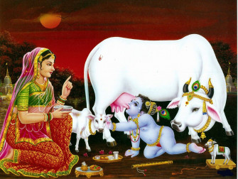 Beautiful Bal Krishna HD Wallpaper Ibutters Celebrities