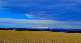 Montana Crazys In The Background Photos