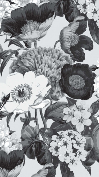 Black And White Flower iPhone Wallpaper