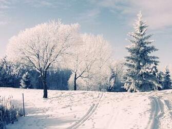Beautiful Winter Wonderland Wallpaper For iPad IwallHD