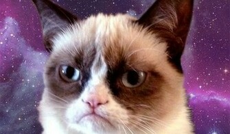 Grumpy Cat Cover Wallpaper