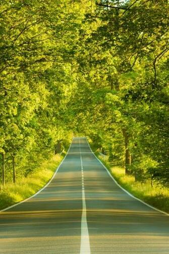 Nature iPhone Wallpaper HD