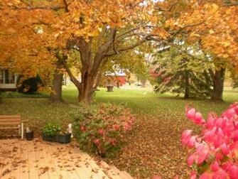 Desktop Wallpaper Fall Foliage In HD