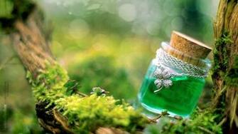 Green Nature Wallpaper Trees Ireland Focus