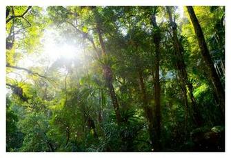Caught In A Sun Shower By Cameron Jung