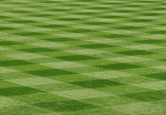 Baseball Field Background