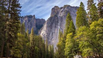 Mountain Trees Wallpaper iPhone Android Desktop Background