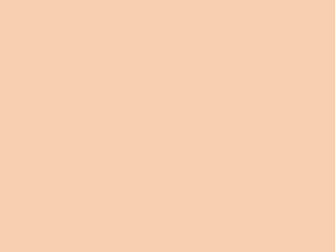 Color Your World Apricot Jennifer Nichole Wells