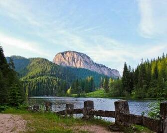 Lakeside Path High Quality And Resolution Wallpaper On