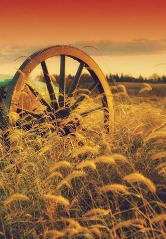 Background Country Strong Fields HD Beautiful
