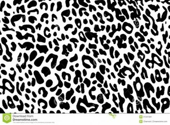 Black And White Background Of Leopard Stock Image