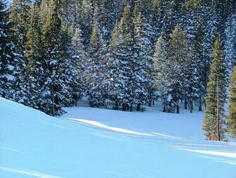 Winter Scenery In The Mountains Beautiful