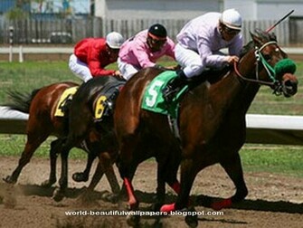 Beautiful Wallpaper Racing Horse