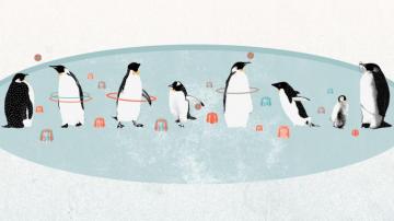 Funny Penguins Cartoon HD Wallpaper Stream